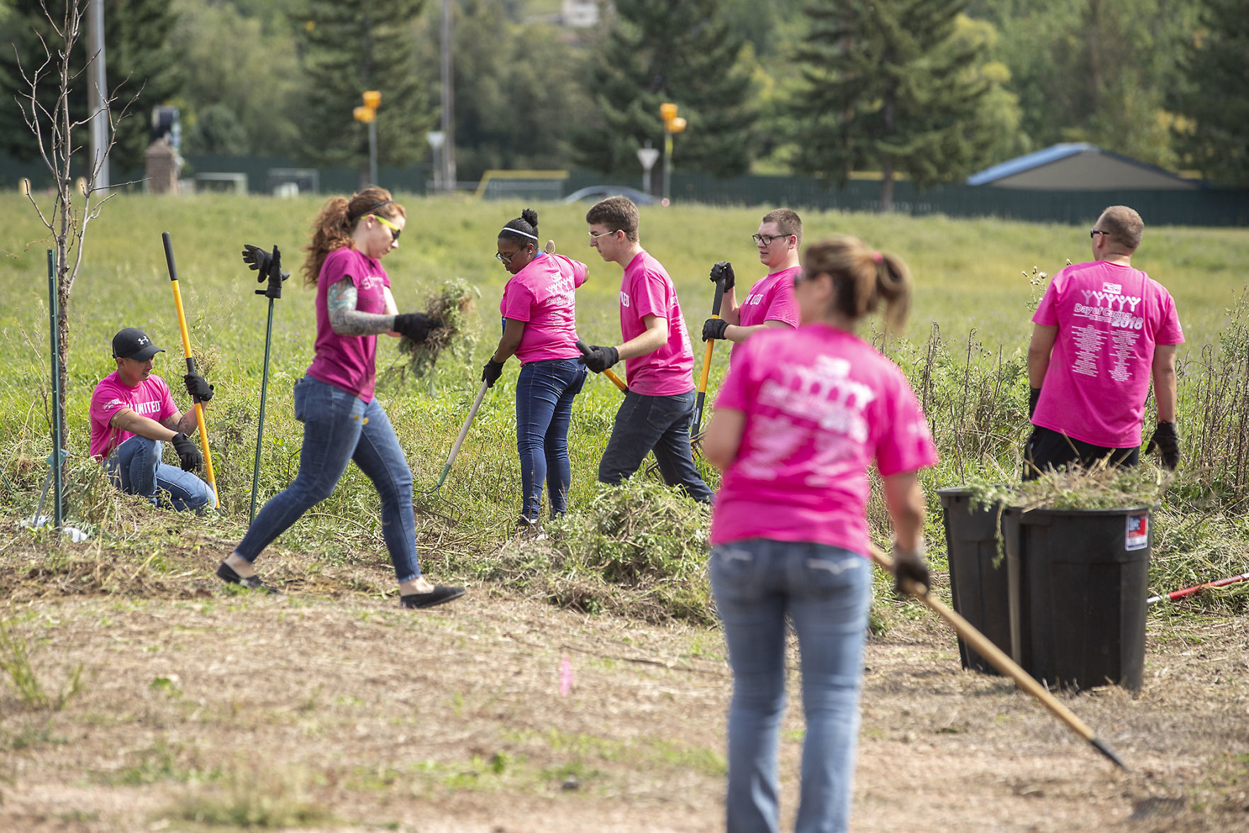 Day of caring